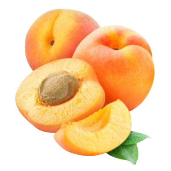 Apricot