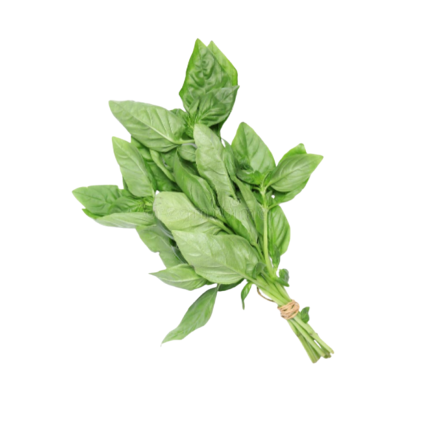 Basil