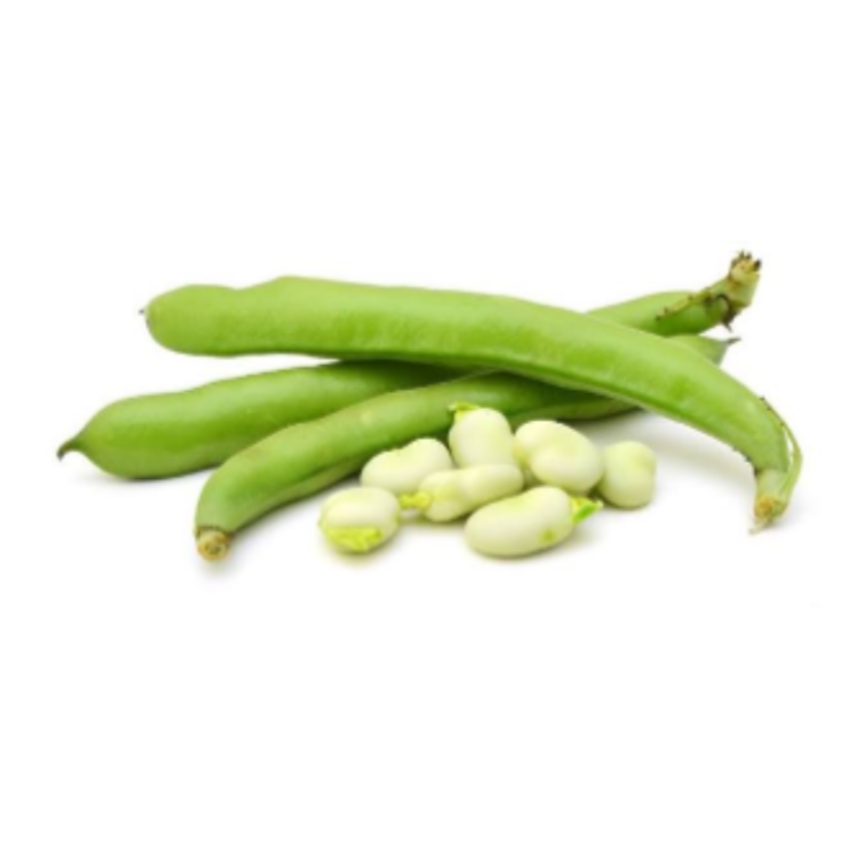 Broad Beans Broad Beans - Image 1