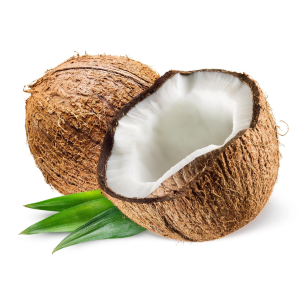Brown Coconut
