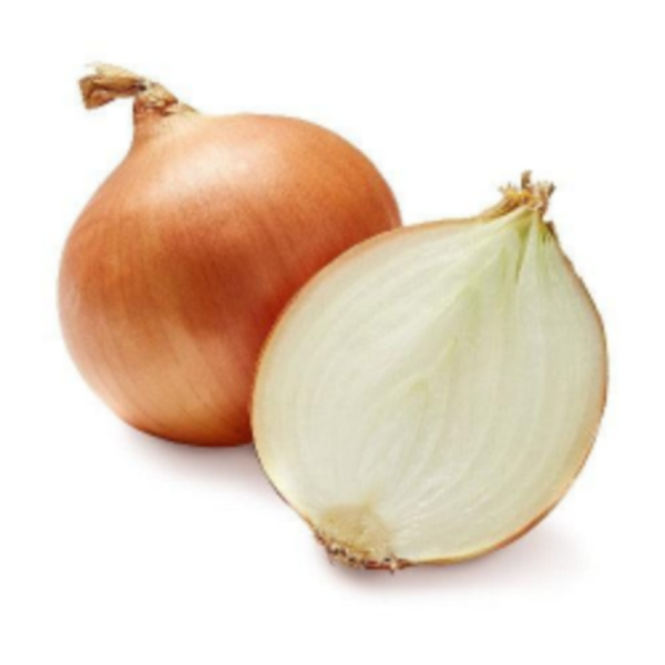 Brown Onion Loose