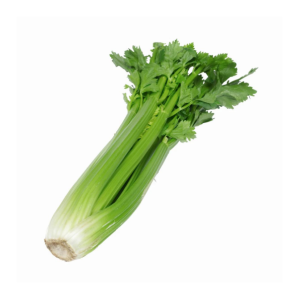 Celery Leaves bunch