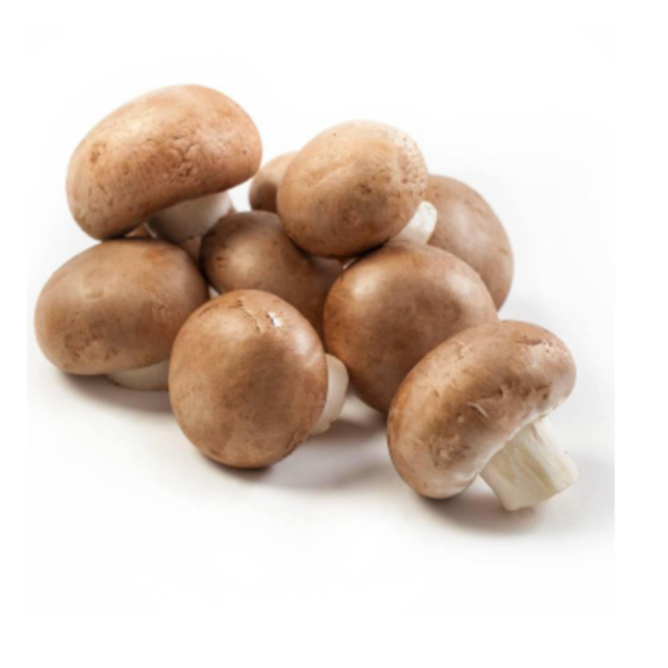 Chestnut Mushroom