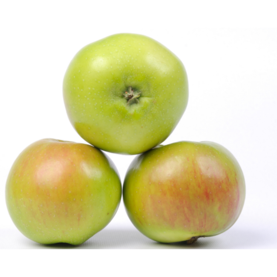Cooking apple Cooking apple - Image 1