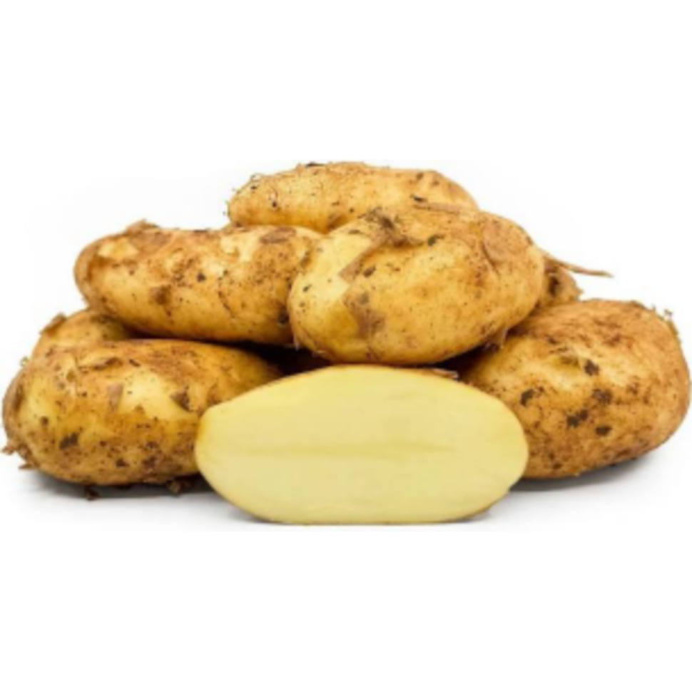 Cyprus Potato Cyprus Potato - Image 1
