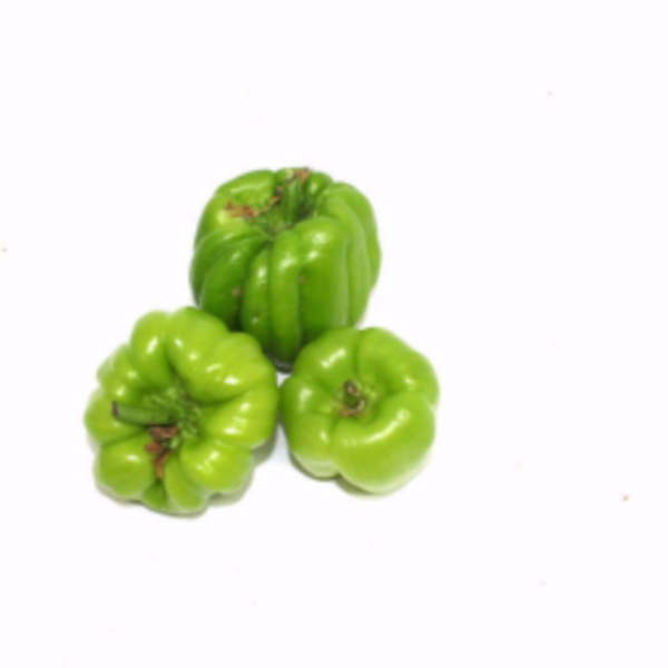 Dolma Pepper