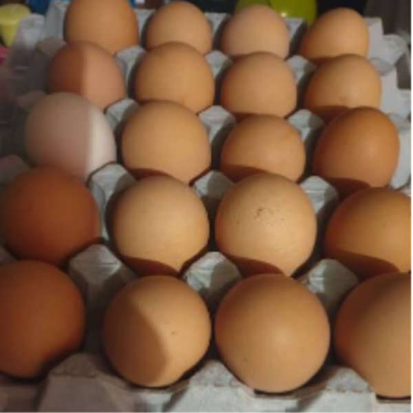 Double Yolk Egg Case(20)