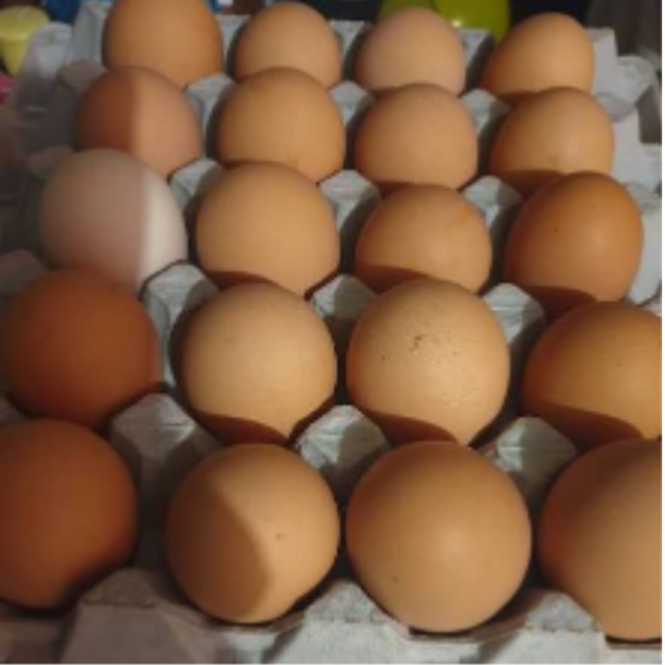 Doubl Yolk Egg case Double Yolk Egg Case(20) - Image 1