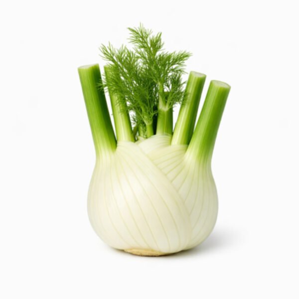 Fennel