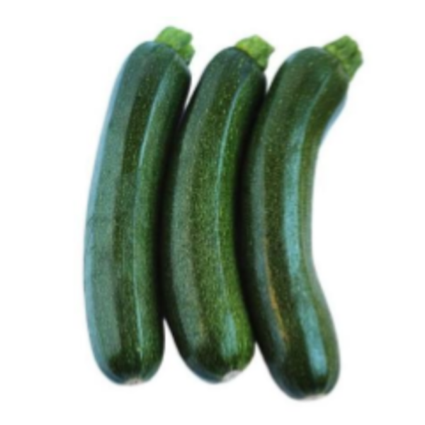 Green Courgette