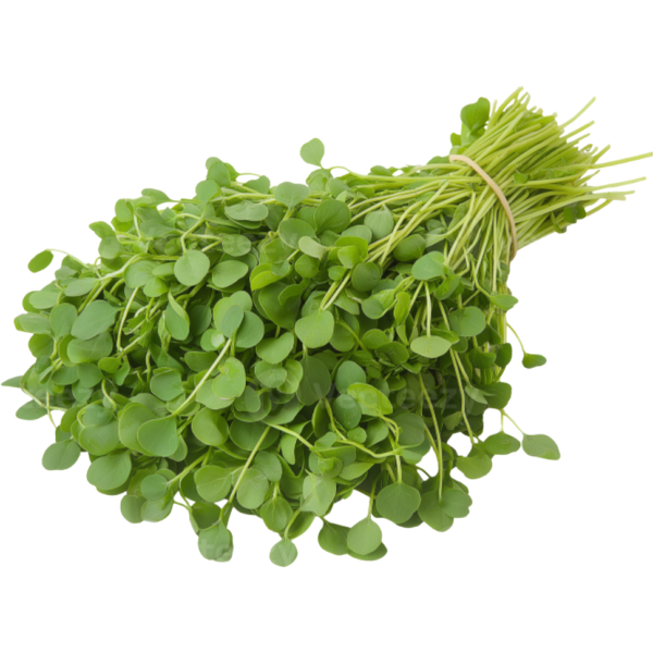 Land Cress