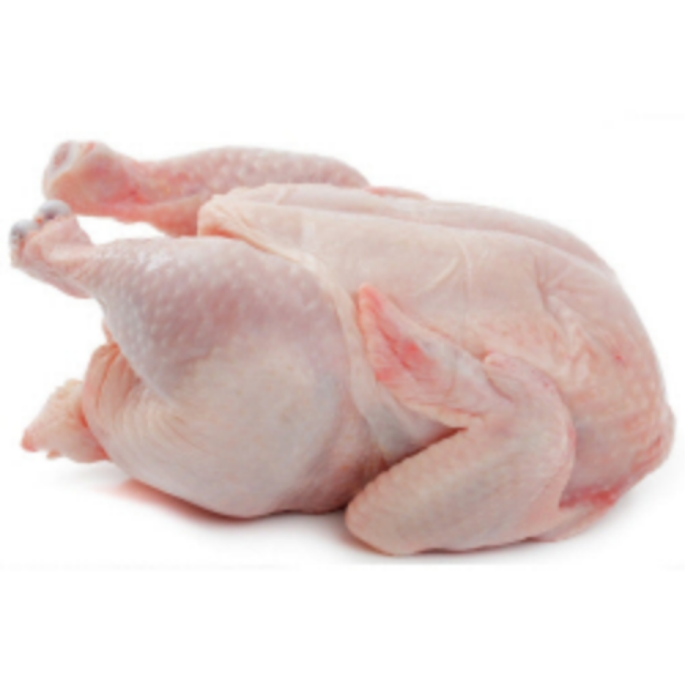 Large Chicken Large Chicken - Image 1