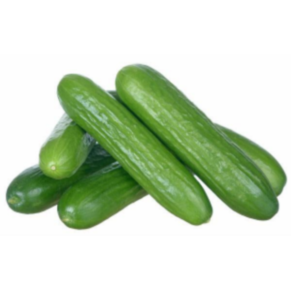 Mini Cucumber
