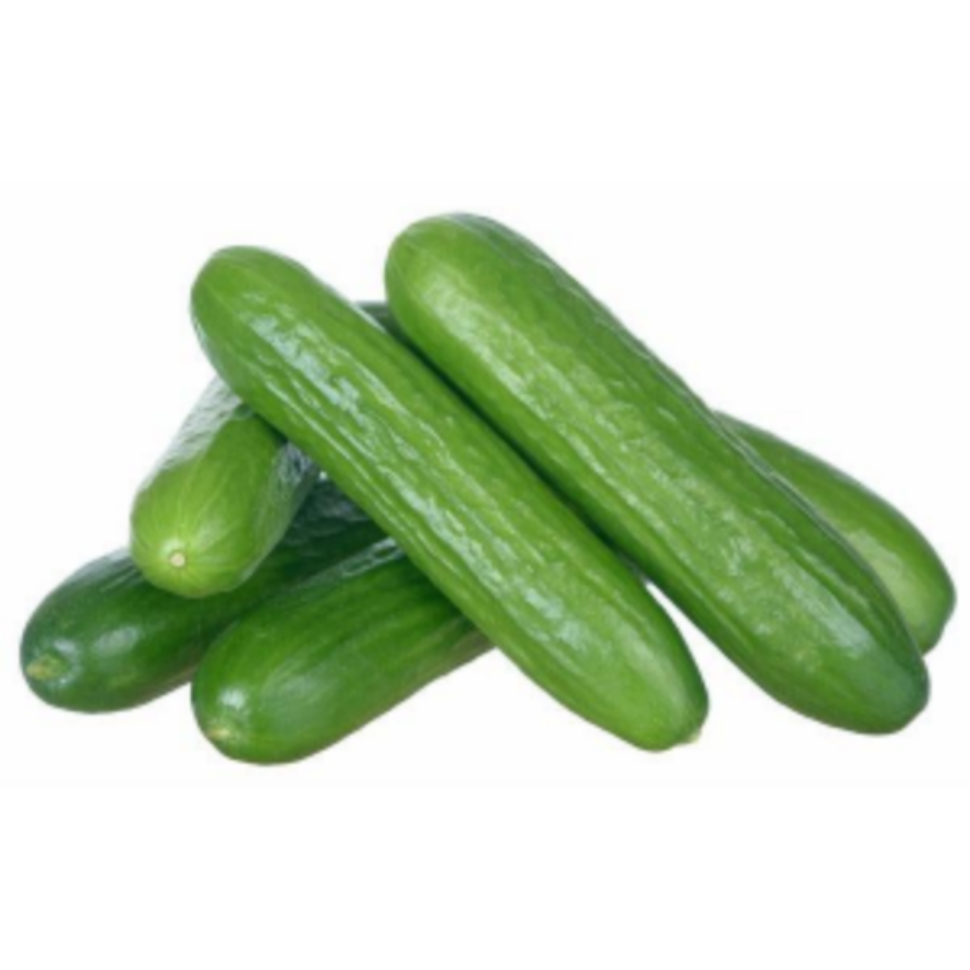 Mini Cucumber Mini Cucumber - Image 1