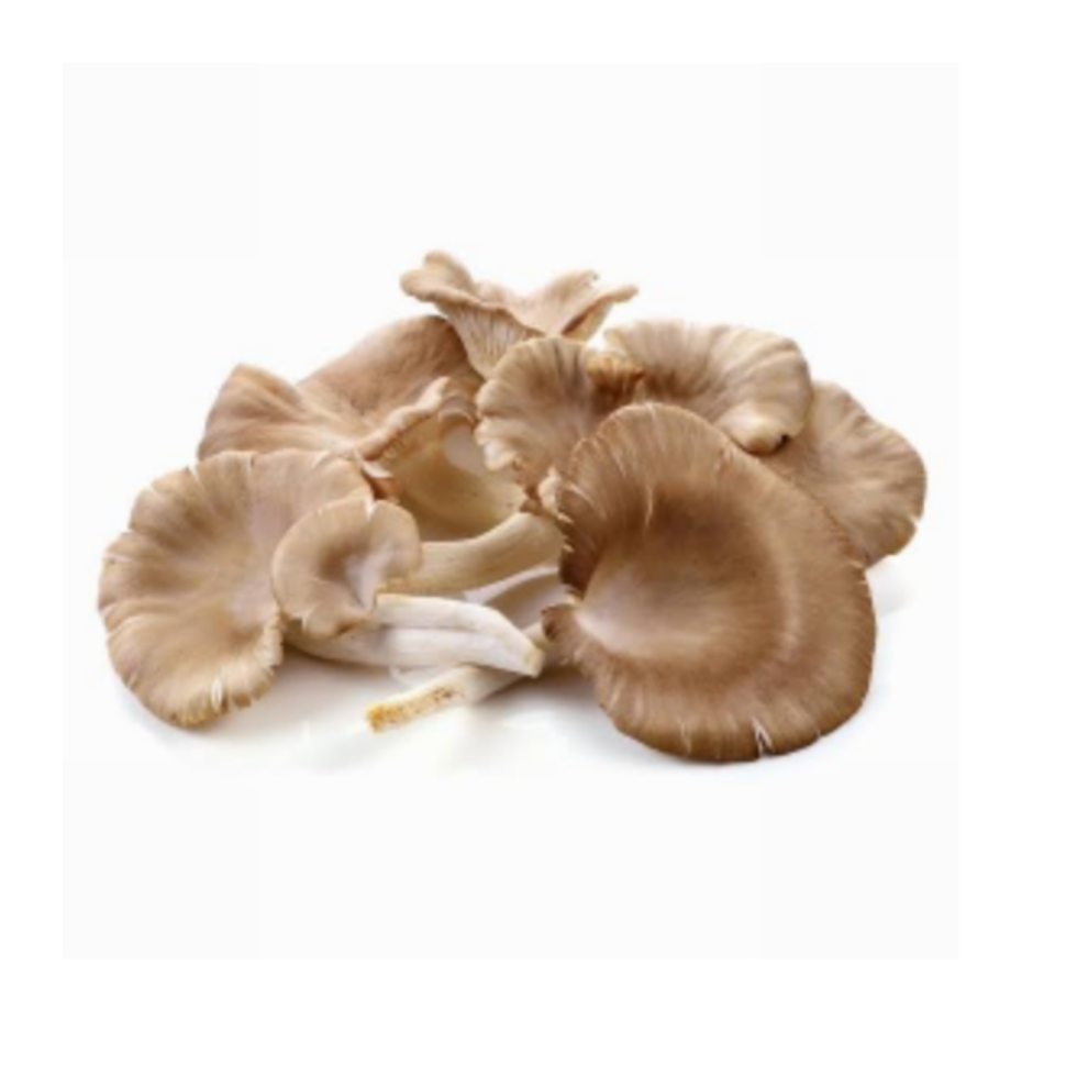 Oyster mushroom Oyster mushroom - Image 1