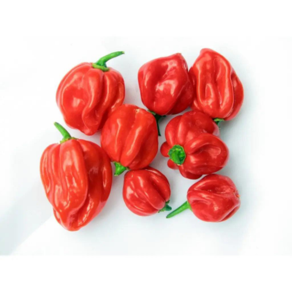 Scotch Bonnet Scotch Bonnet - Image 1