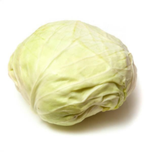 Turkish Cabbage Large