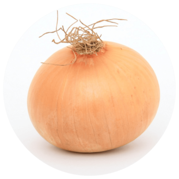 Spanish onion