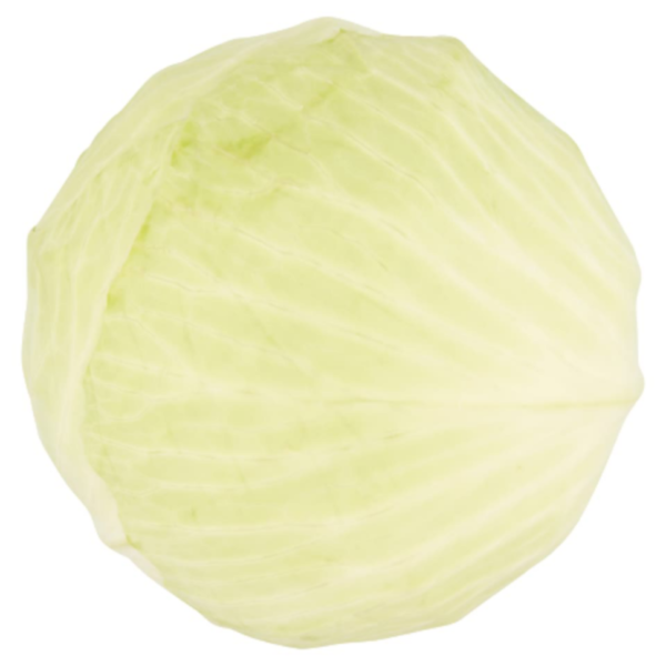 Large White Cabbage