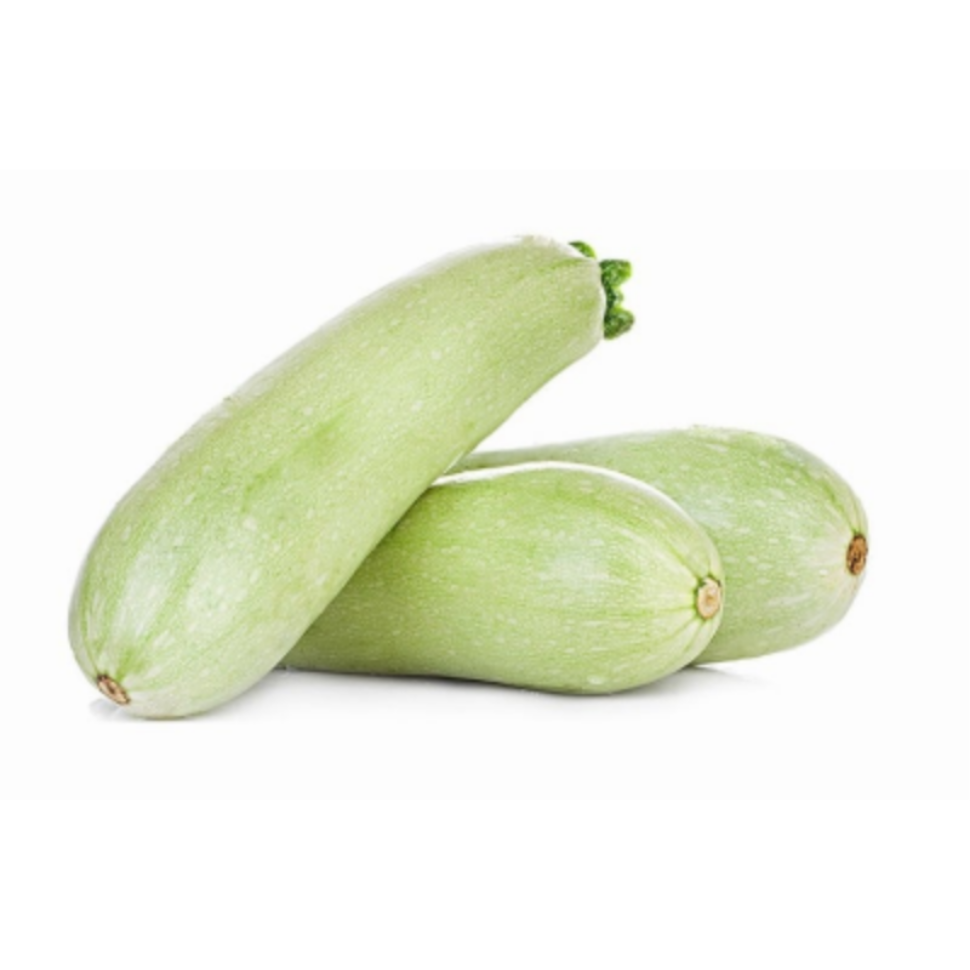 White Courgette White Courgette - Image 1