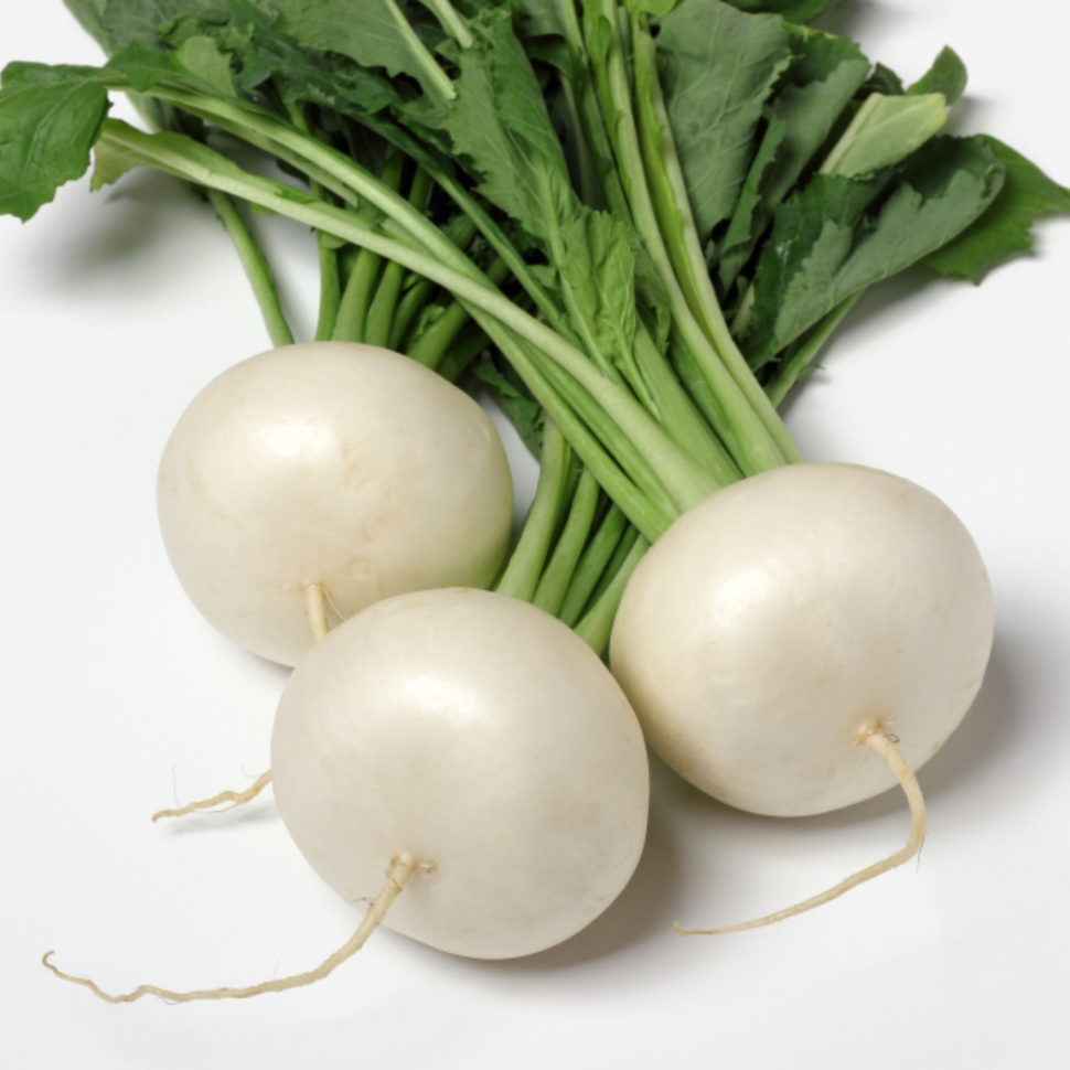 White Turnip White Turnip - Image 1