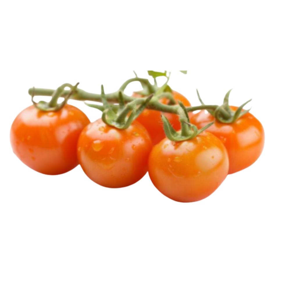 orange tomato Orange Tomatoes - Image 1