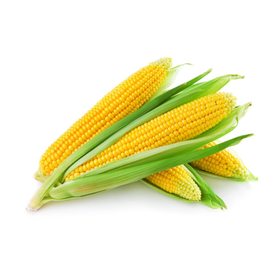 sweet corn sweet corn - Image 1