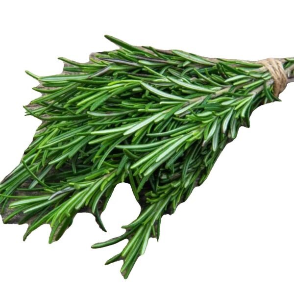 Rosemary