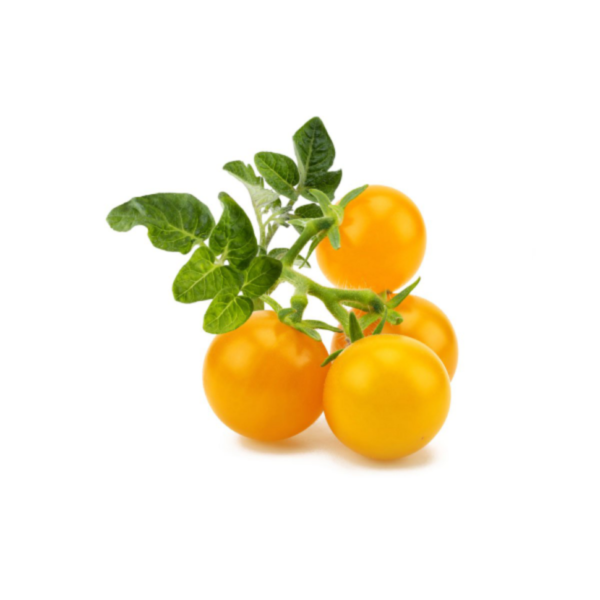 Yellow Tomatoes