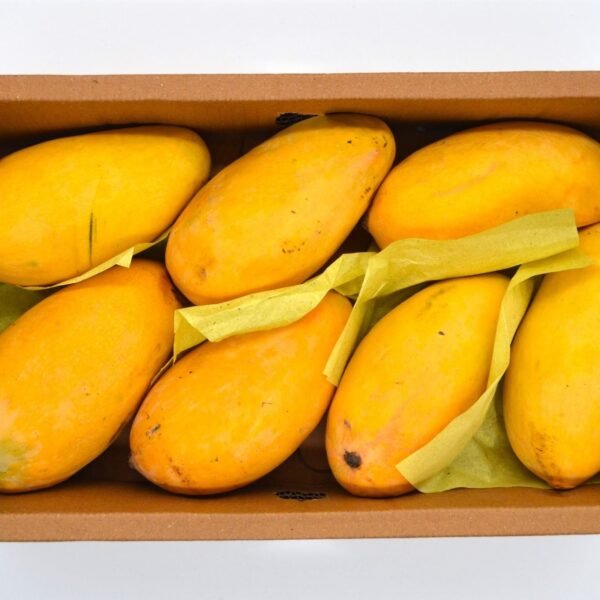 Large Honey Pakistani Mangoes