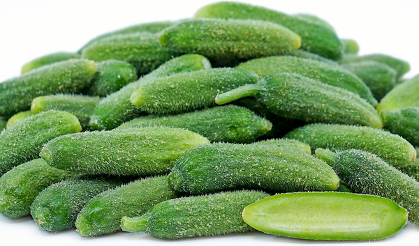 Cornichon Cucumber(fresh)