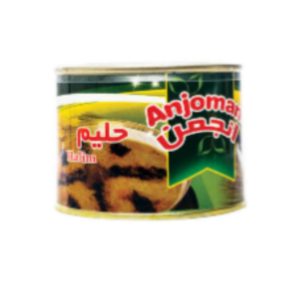 Anjoman Haleem
