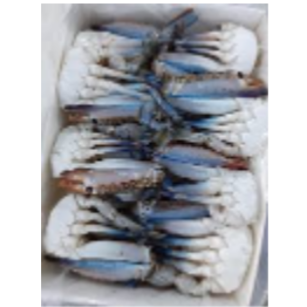 Blue Swimming Crab (Half Cut)