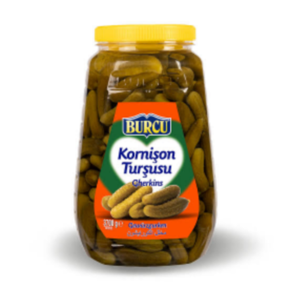 Burcu Kornison Tursusu