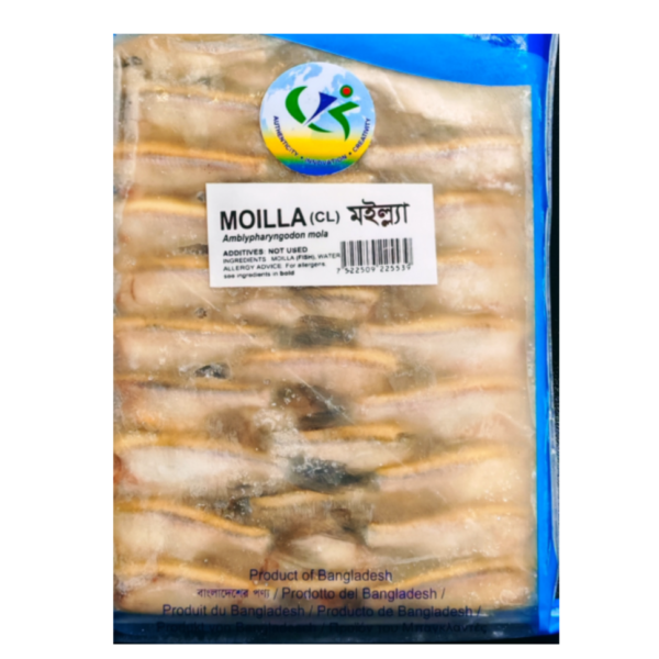 Mola Small Block