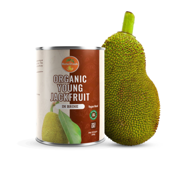 Natural Fresh Organic Young Jackfruit 400g