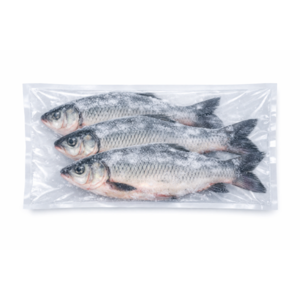 Rohu Fish Large Block