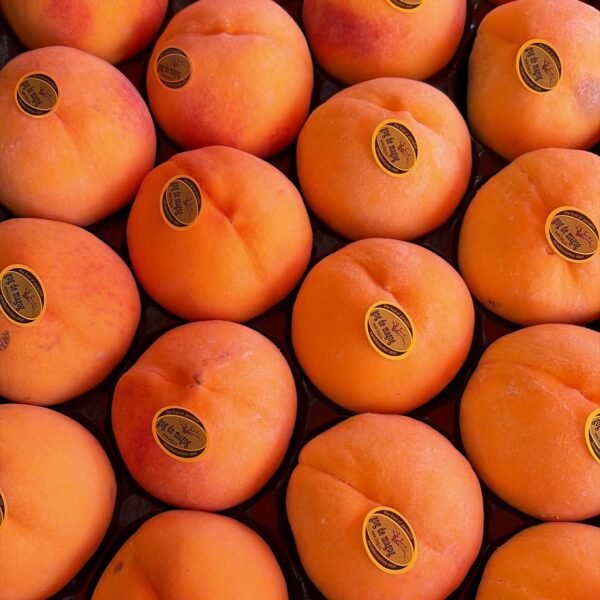 Yellow Peach(kg)