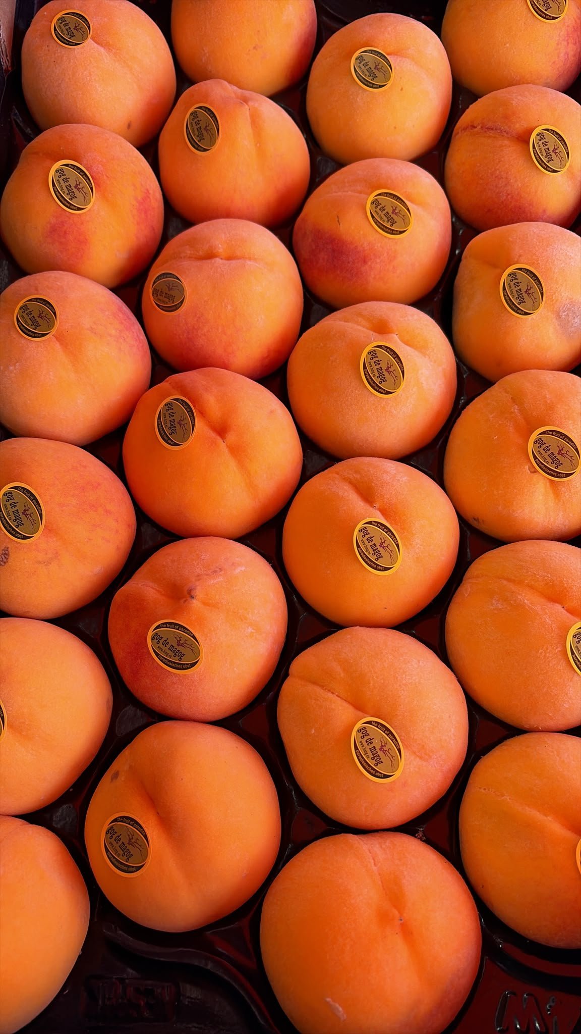2026/07/1000088180.jpg Yellow Peach(kg) - Image 1