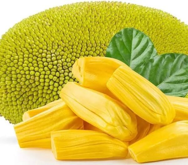 Jack Fruit (per KG)
