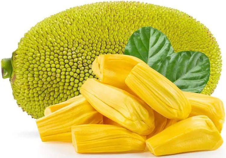 2026/07/1000088191.jpg Jack Fruit (per KG) - Image 1