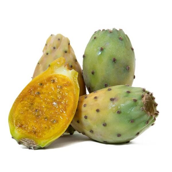 Prickly Pear(Each)