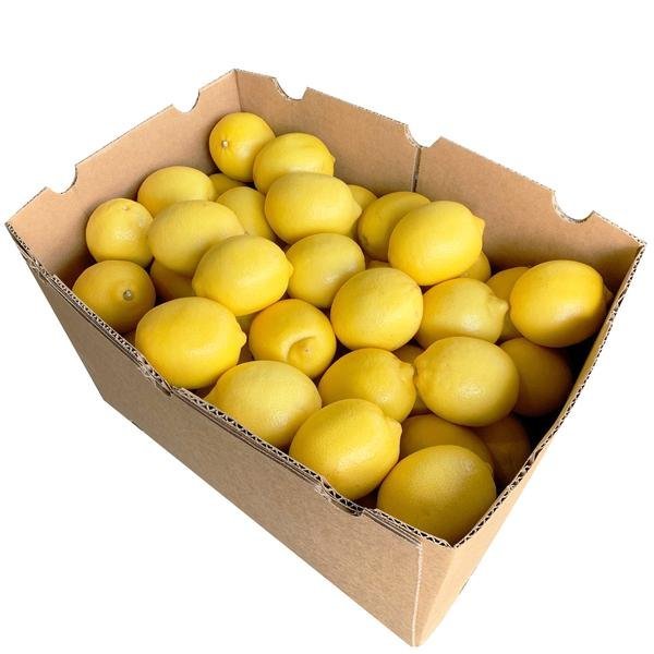 2026/07/1000088748.jpg Box of Lemons(100 pc) - Image 1
