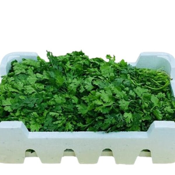 Box of Coriander (20 bunches)