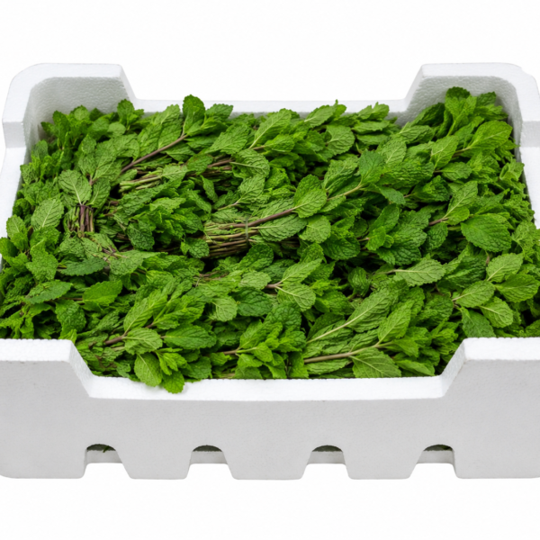 Box of Mint Leaves (20 bunches)