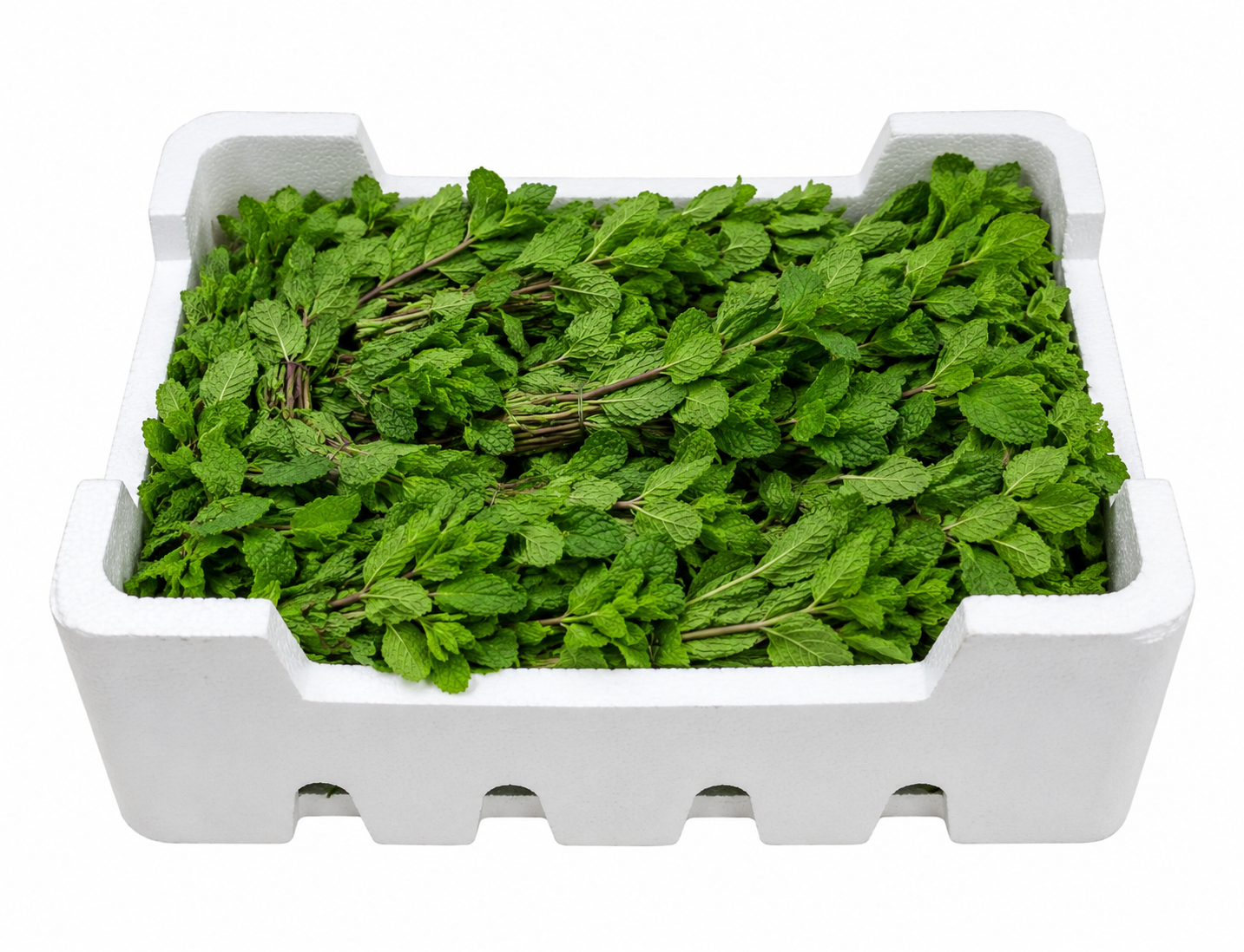 2026/07/1578.png Box of Mint Leaves (20 bunches) - Image 1