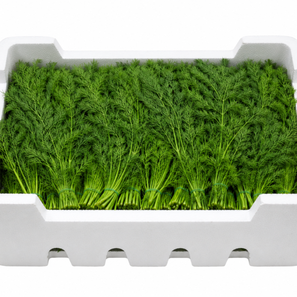 Box of Dilli (20 bunches)