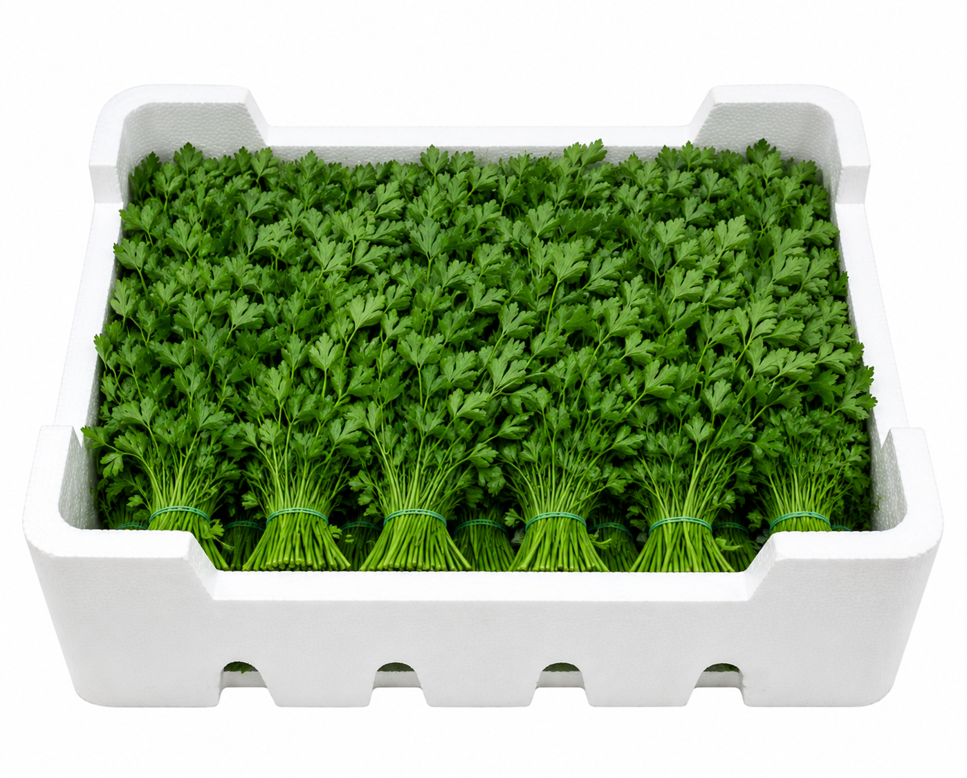 2026/07/1580.png Box of Parsley (20 bunches) - Image 1