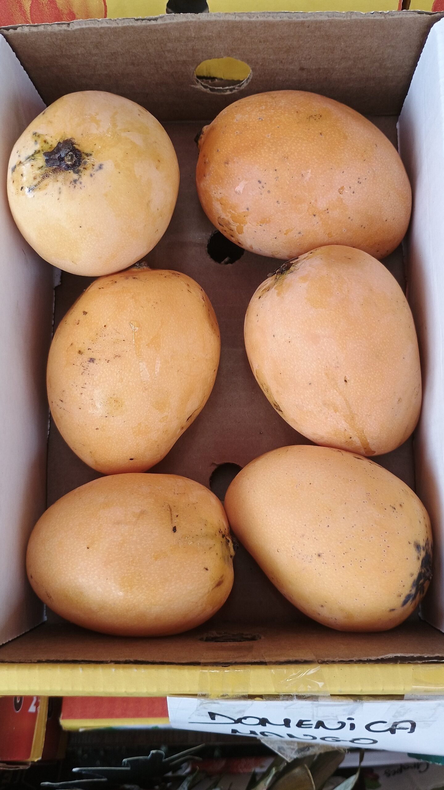 2026/07/JPEG_20260705_140217_5562086077976086940-scaled.jpg Domenica Mangoes(Box) - Image 1