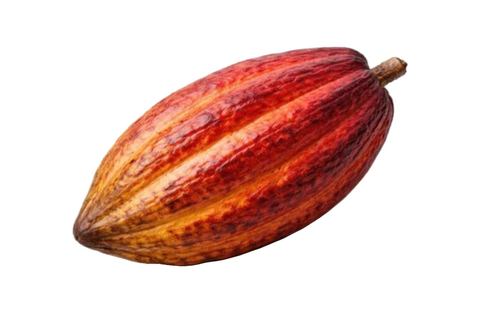 2026/07/wp-1783528996976.jpg Cocoa(each) - Image 1